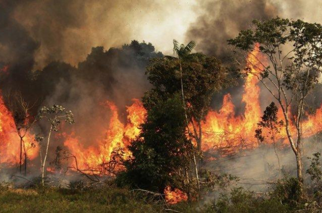 Uno de los miles de incendios activos y fuera de todo control en la amazonia brasileña.