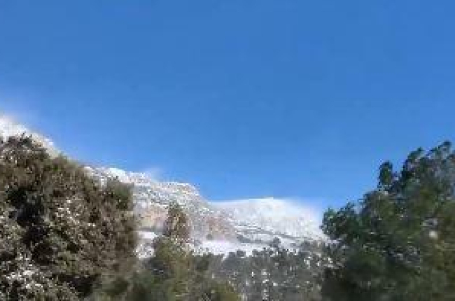 VÍDEOS. Imatges del torb al Pirineu