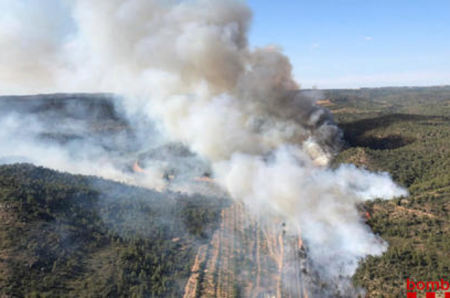 Imatge de l'incendi del juny a Maials