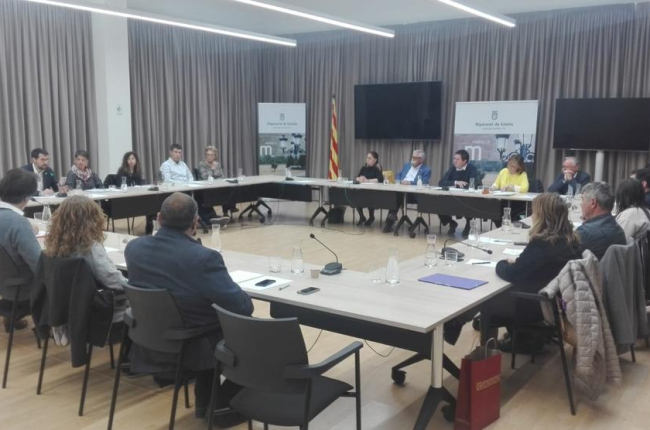 La sessió celebrada ahir a la Diputació de Lleida.