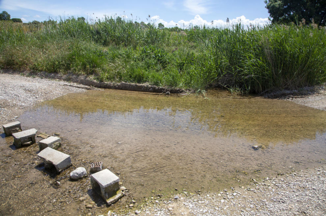 Tras tanto tiempo inactivo, el río pasa por encima de un camino.