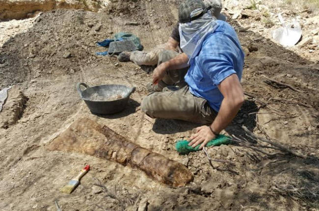 Hueso de titanosaurio encontrado durante la excavación del yacimiento de Les Gavarres.