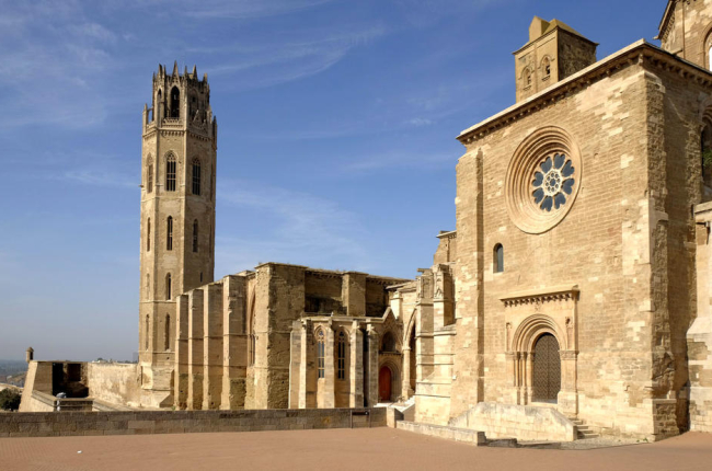 La Seu Vella, cultura i patrimoni