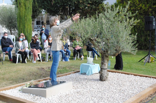 Els participants en l’acte van penjar estels de fusta amb missatges a les branques de l’olivera.