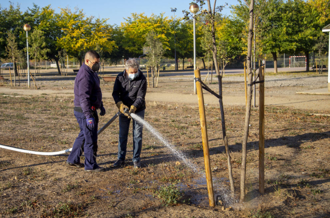 Veïns de Ciutat Jardí reguen els arbres del seu parc per la falta de pluges