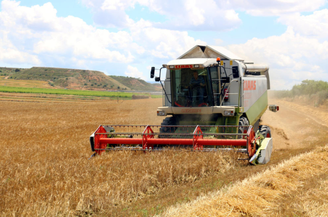 Imagen de archivo de una cosechadora en un campo de cereal en Gimenells.