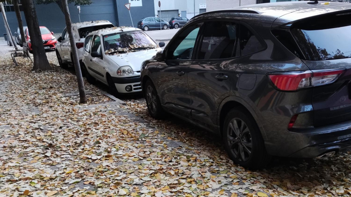 Carrer Marquès de Leganés de Cappont.