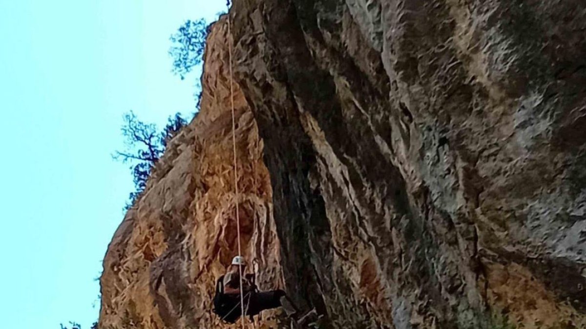 Los Agents Rurals han desmuntat tres vies d’escalada que no tenien autorització per protegir la reproducció del trencalòs al Pirineu de Lleida.