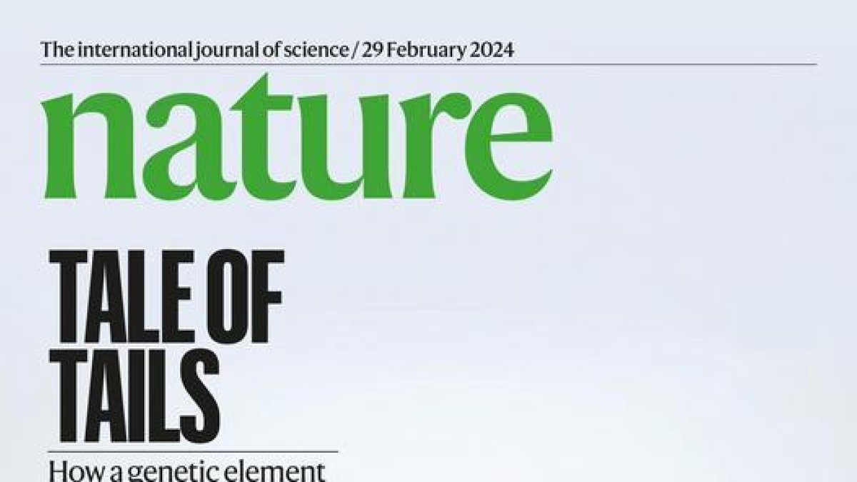 Imagen de la portada de la revista 'Nature'.