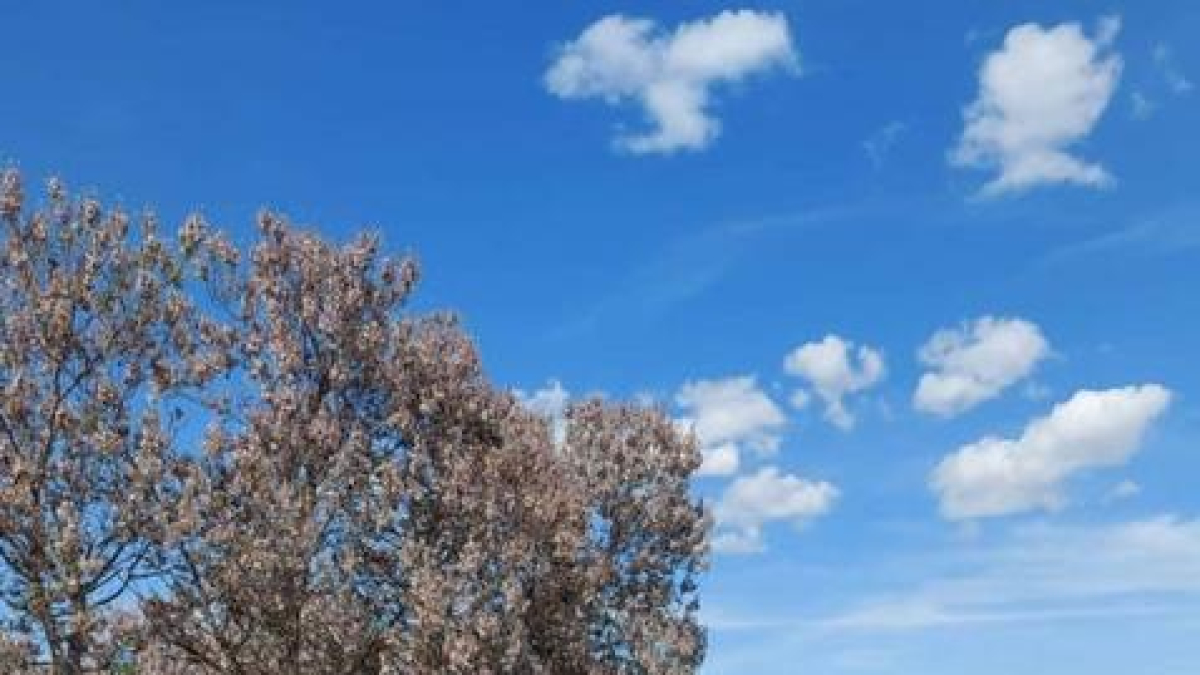 La torre, en posició horitzontal als afores d’Aitona. - AJUNTAMENT D’AITONA