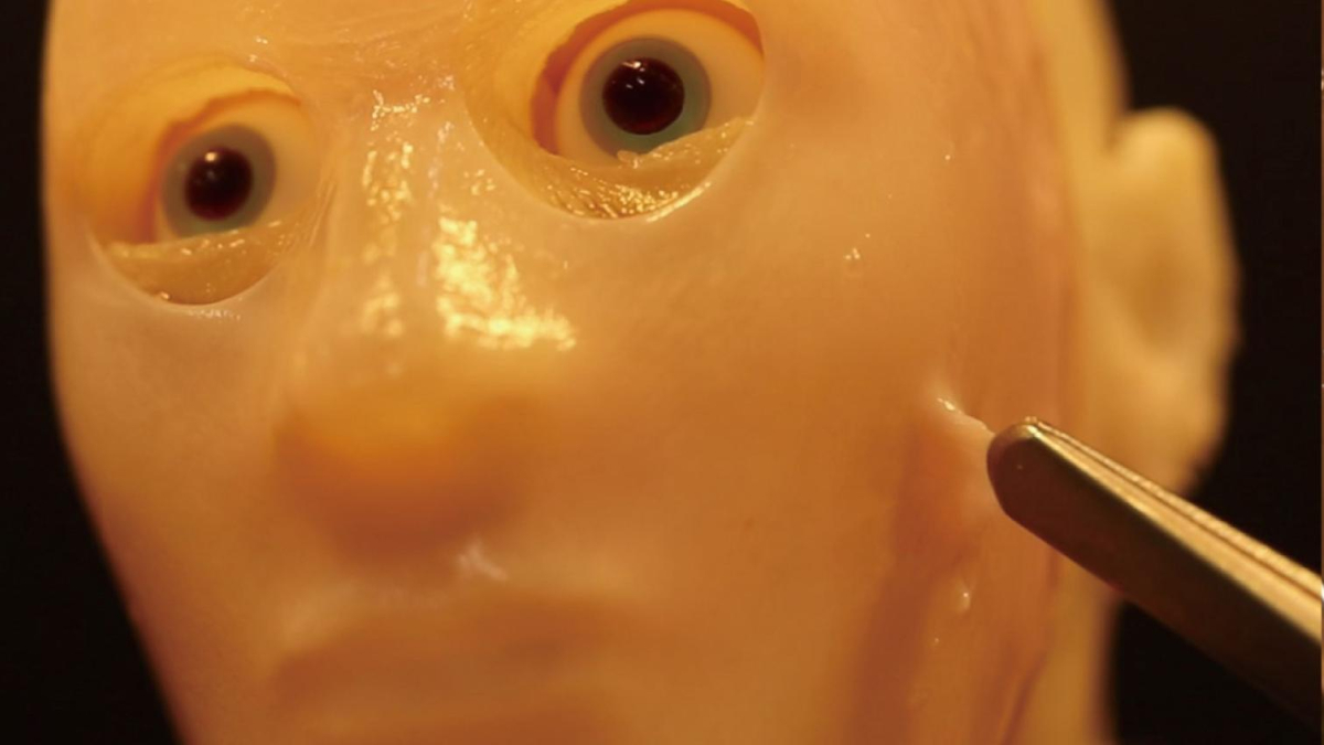 El robot facial amb pell 'viva' feta amb cèl·lules humanes desenvolupat a la Universitat de Tòquio.