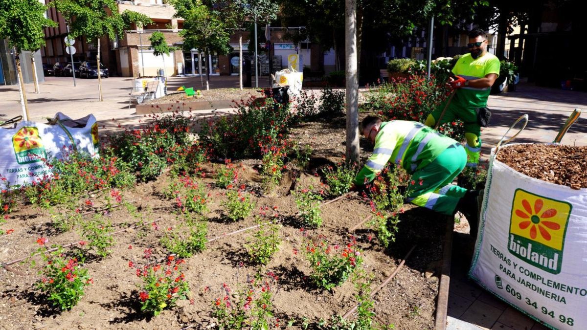 Operarios trabajando en un parterre en la plaza Pare Sanahuja. - AJUNTAMENT DE LLEIDA