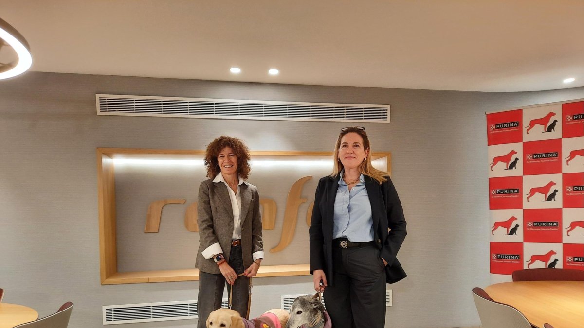 Renfe incluye la ruta Madrid-Sevilla entre las que permiten viajar con perros de hasta 40 kilos.