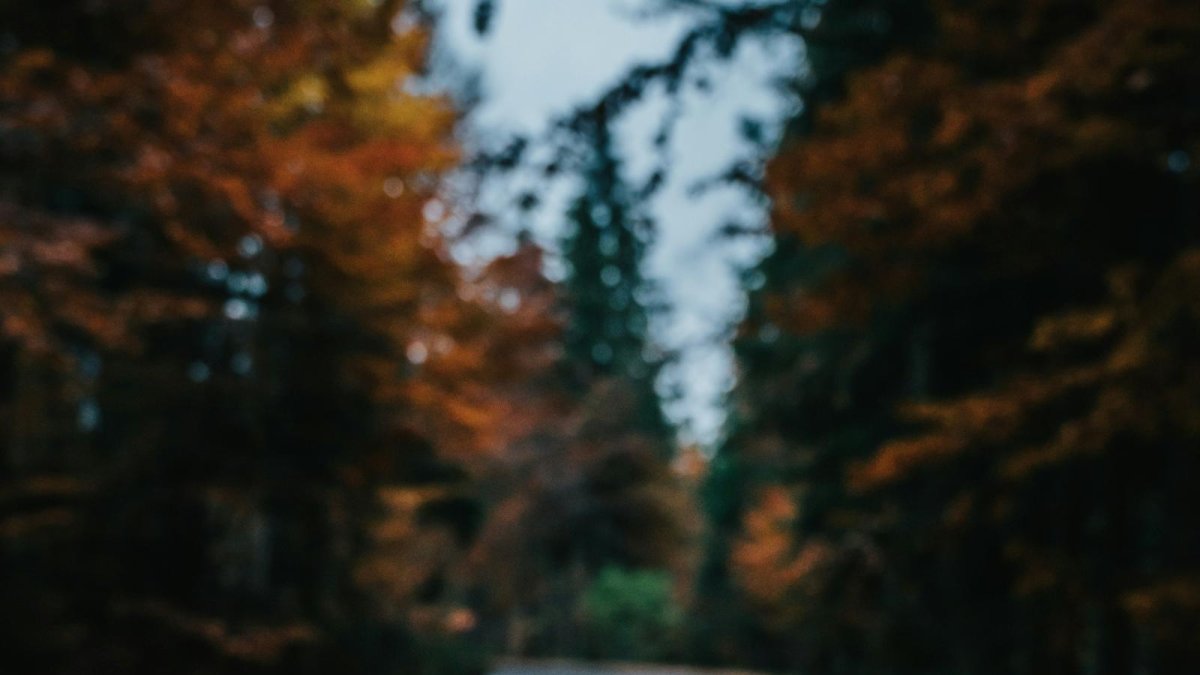 Imagen de archivo de Google Maps.