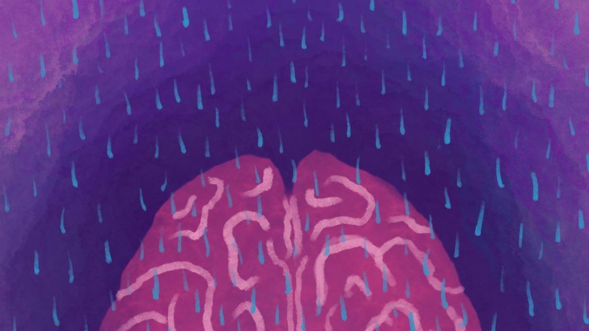 Imatge cedida. La vasomoció lenta mediada per la noradrenalina impulsa l’aclariment glimfàtic durant el son.