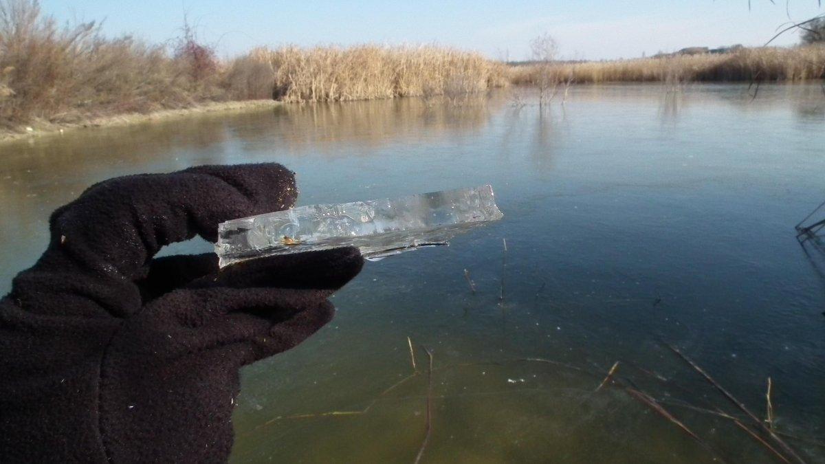 Hielo en un estanque de Lleida en una imagen de archivo.