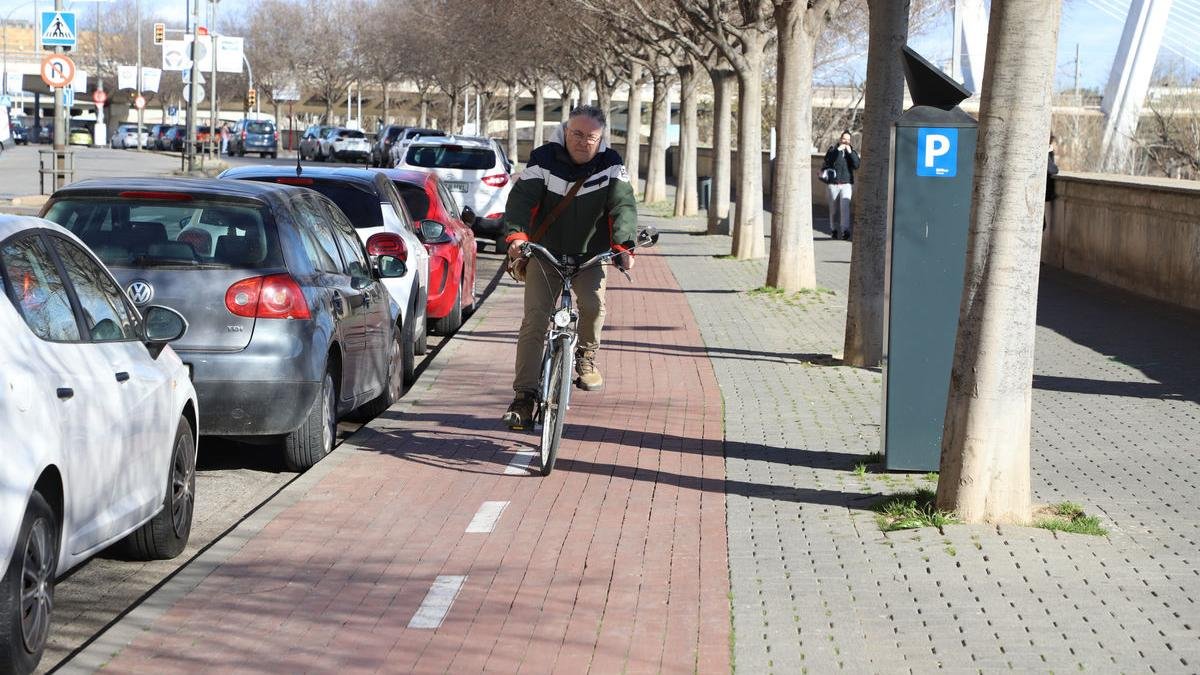 Un ciclista circulant per un carril bici de la ciutat. - MAGDALENA ALTISENT