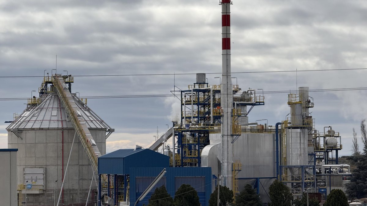 La caldera de biomasa mayor de Cataluña, en la papelera Alier de Rosselló