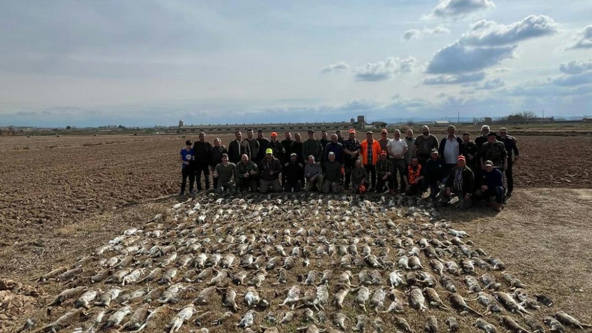Una batida con hurones en Torregrossa se salda con la caza de 398 conejos - APÇ