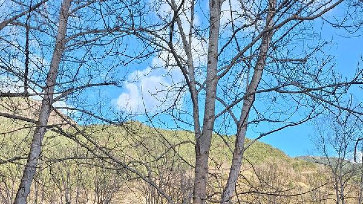 L’alcaldessa, al centre, amb quatre dels visitants a qui va mostrar Vilaller aquesta setmana. - AJUNTAMENT DE VILALLER