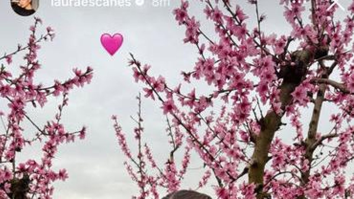 Escanes va publicar ahir a les xarxes una foto de la visita a Aitona. - INSTAGRAM @LAURAESCANES