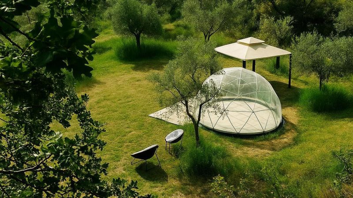 La habitación-burbuja instalada entre olivos en La Pobla de Cérvoles. - OLI COMETES