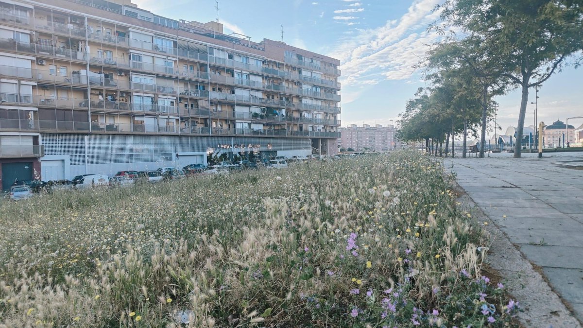 Pendiente silvestre al lado del Parque de las Vías y los bloques Catalunya