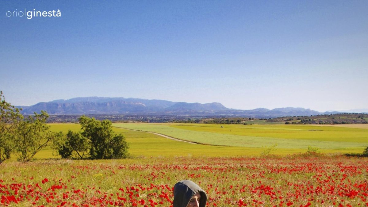 Oriol Ginestà: “Música i natura són remeis per a mals d’avui” - FOTO DE O. GINESTÀ