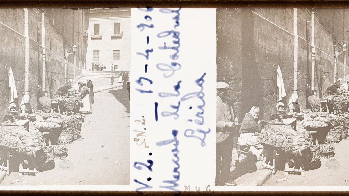 Una imatge del fons Herrera i Ges.