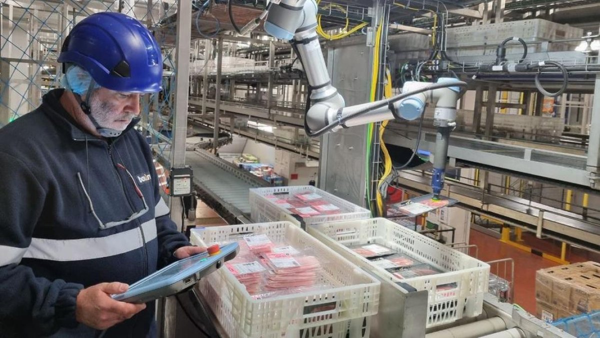 Instal·lacions càrnies de Bonàrea al seu complex de La Closa de Guissona. - BONÀREA