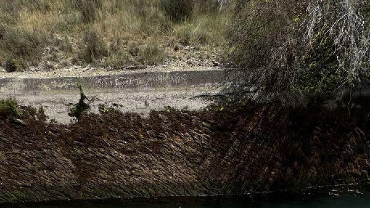 Efectius dels Bombers, en col·laboració amb ciutadans, van rescatar l’home del canal. - BOMBERS DE LA GENERALITAT