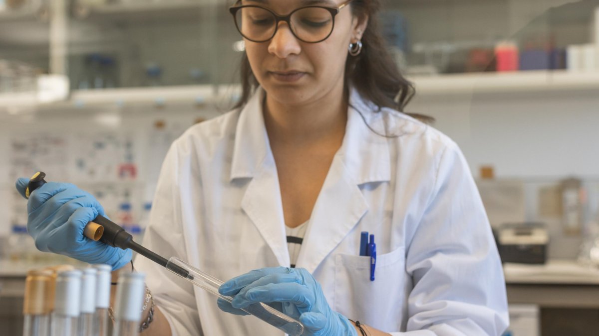 Investigadora de l'estudi d'Agrotecnio i la UdL en un laboratori