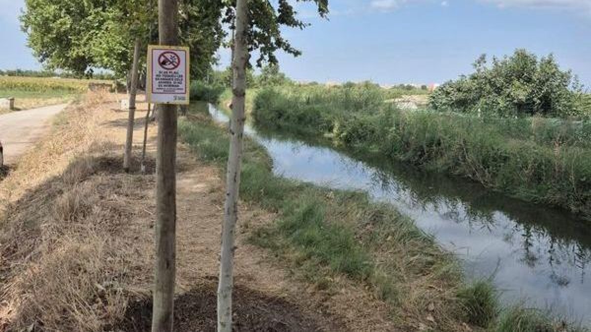 Amics de la Banqueta contra l’incivisme - AMICS DE LA BANQUETA