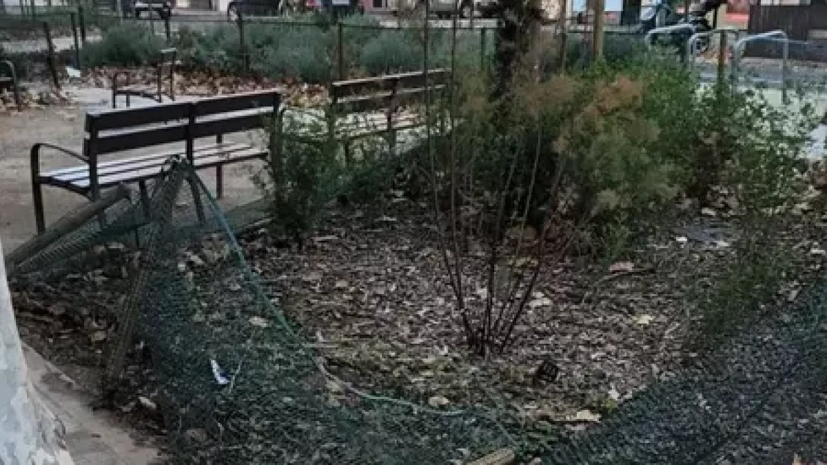 Malles i pals que envolten zones verdes, trencats, i per terra. - ASSOCIACIÓ ARRELS DE CAPPONT