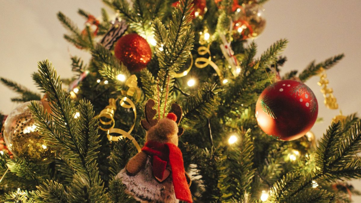 Allyson Beaucourt / Unsplash