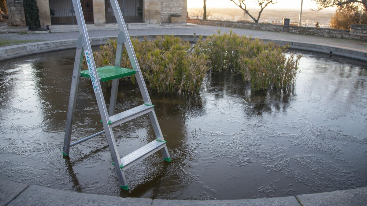 Una balsa helada en Tàrrega, donde este miércoles se han registrado -5,3 ºC.