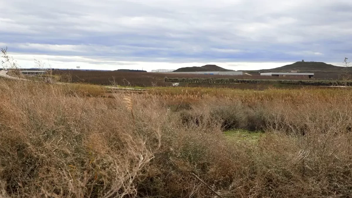 El nuevo polígono están en la margen izquierda de la carretera que da acceso a Els Alamús por la LL-11. - SEGRE