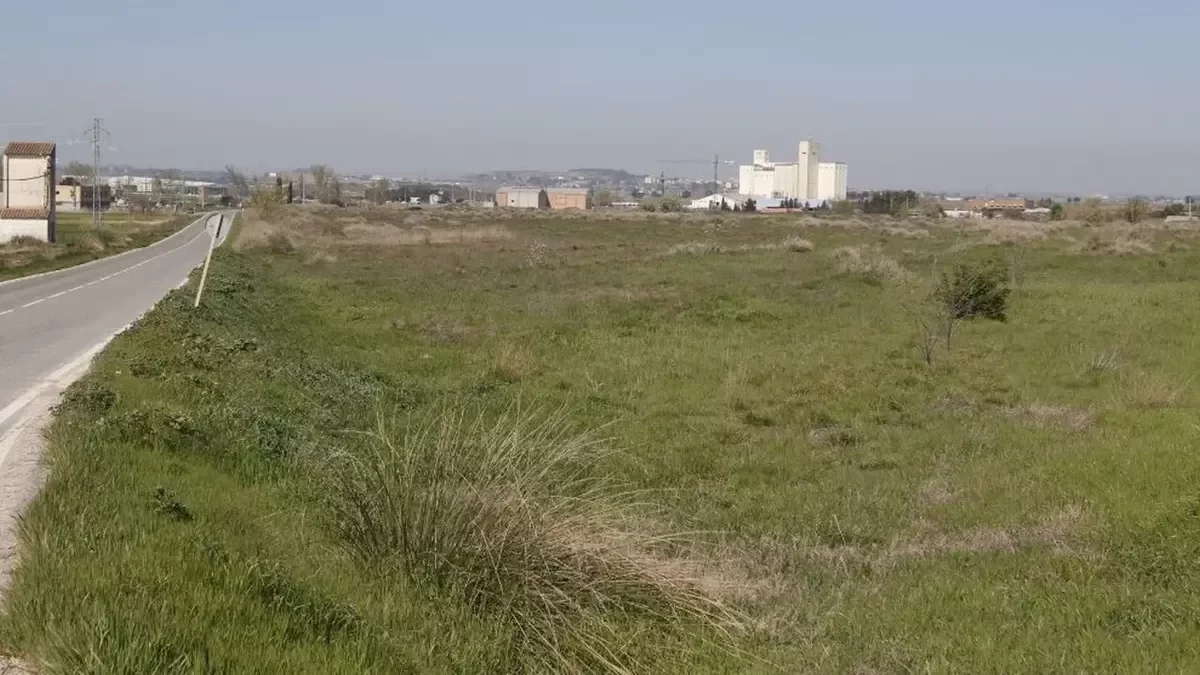 La plataforma se ubicará junto a la carretera de Els Alamús. - MAGDALENA ALTISENT