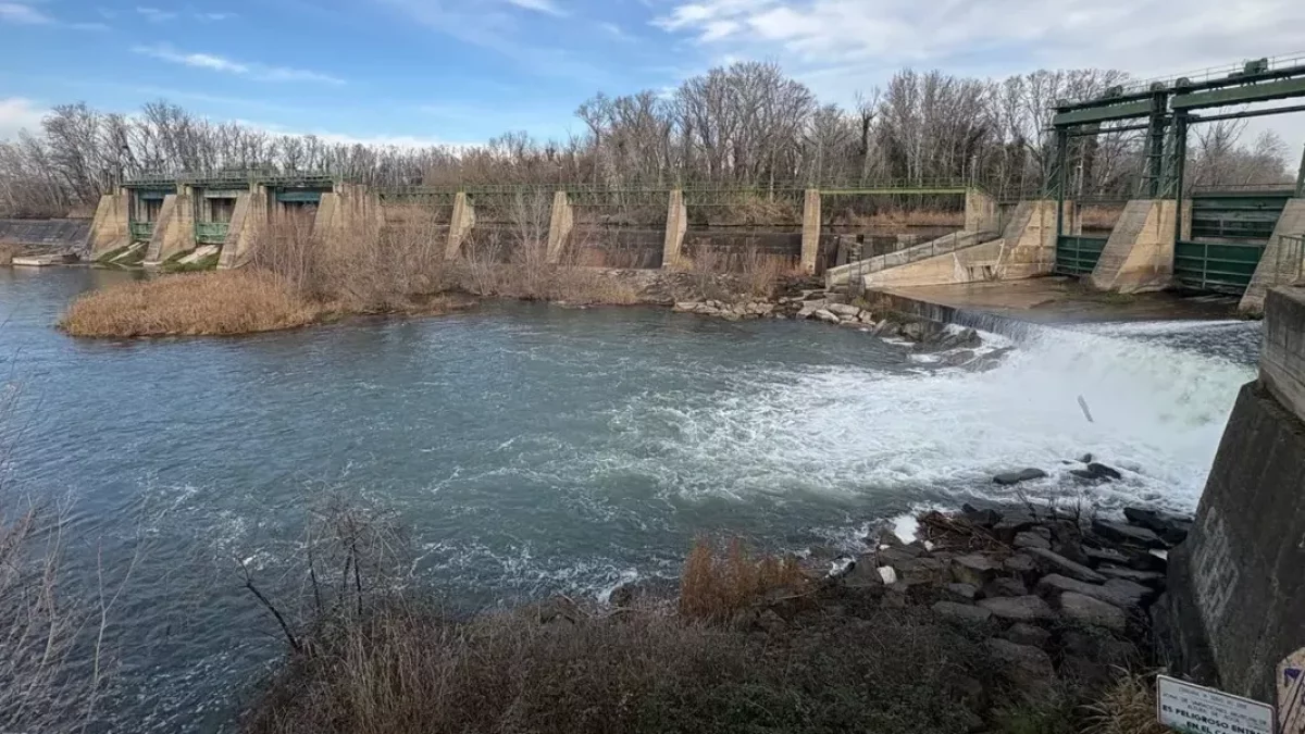 Les comportes del canal de Seròs, a l’altura de la Mitjana. - AMADO FORROLLA