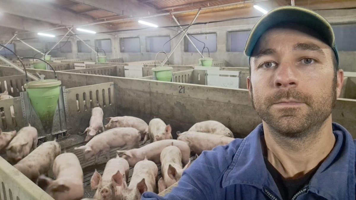 Ramon Gatnau, a la seua granja de Vilanova de l’Aguda, on engreixa 6.000 porcs.