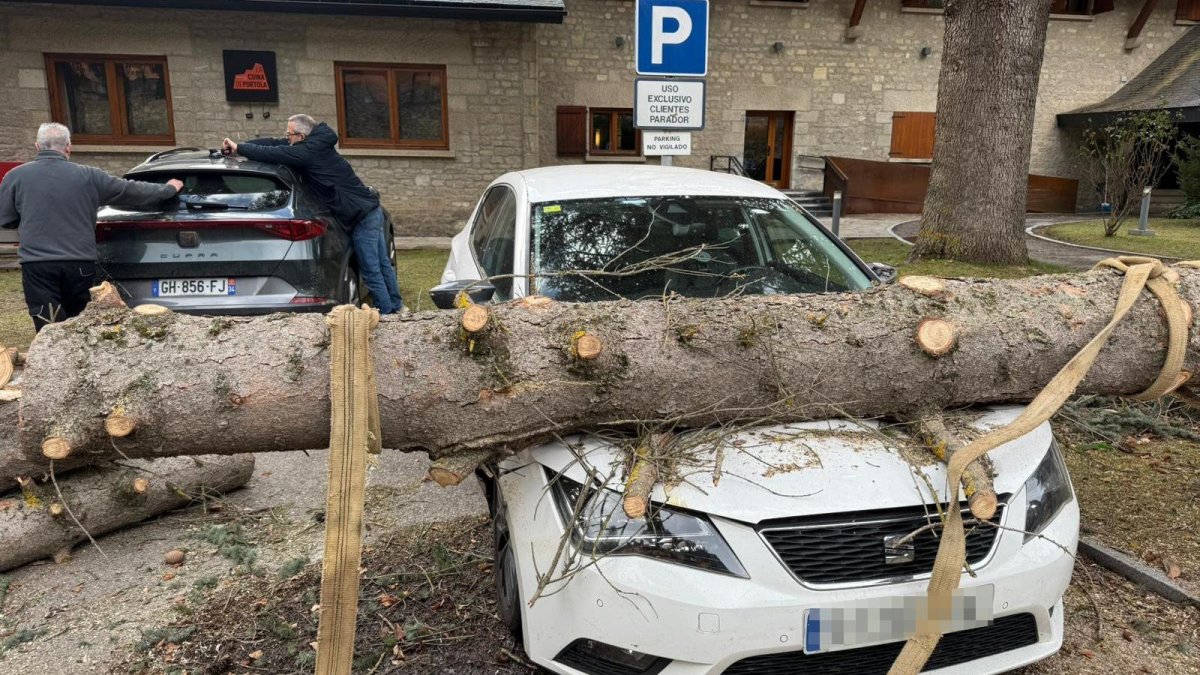 Un abre ha caigut a l'aparcament del Parador d'Arties, a la Val d'Aran.
