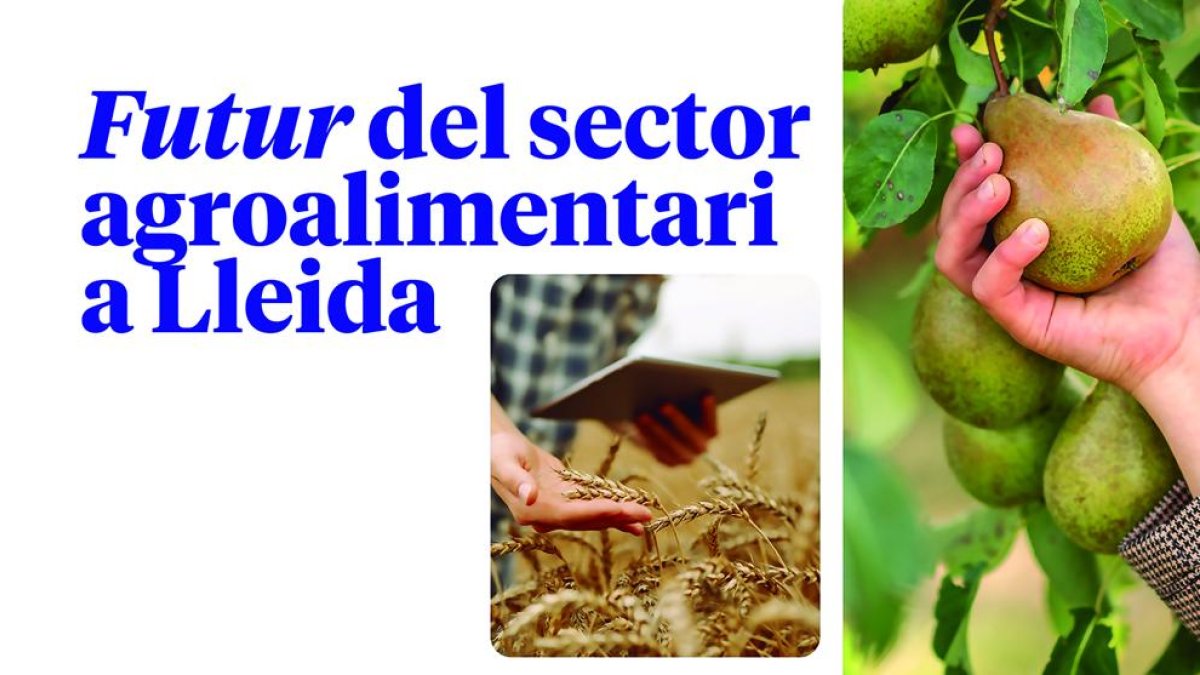 El futur del sector agroalimentari a Lleida, a debat en una jornada organitzada per SEGRE i BBVA