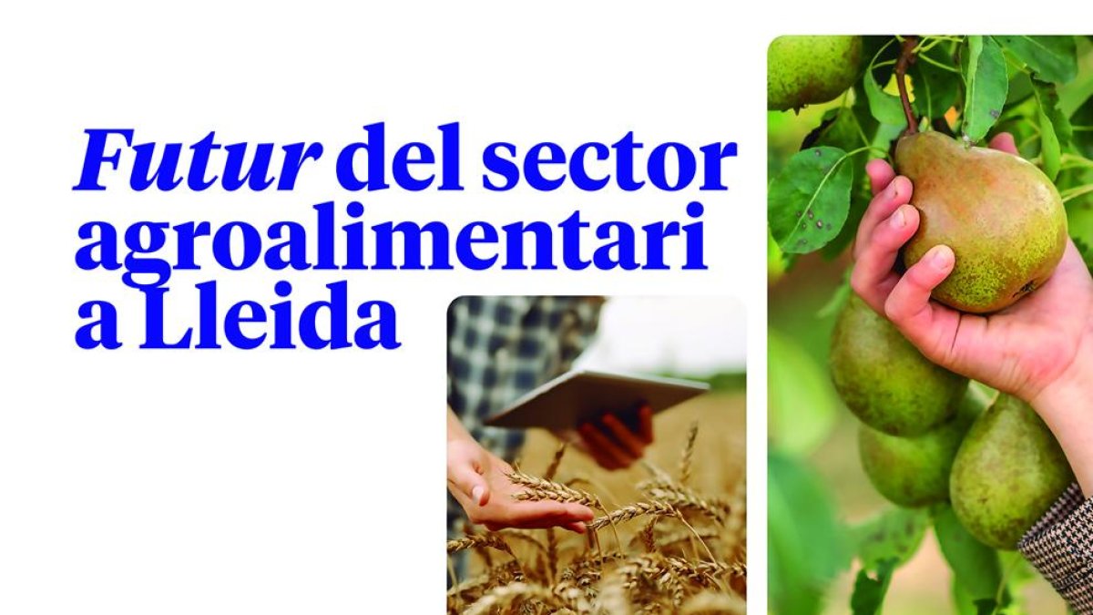 El futur del sector agroalimentari a Lleida, a debat en una jornada organitzada per SEGRE i BBVA