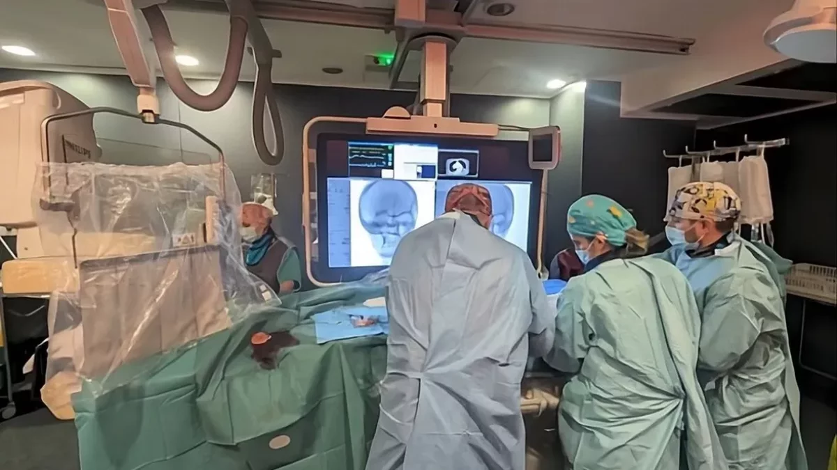 L’hospital Arnau de Lleida va enviar l'any passat 53 casos greus d’ictus a Barcelona i només en va poder atendre 25