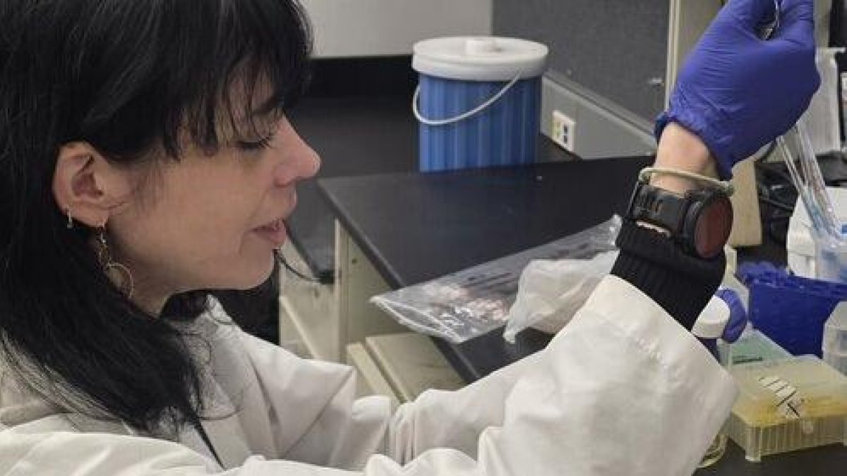 Una investigadora del IRBLleida.