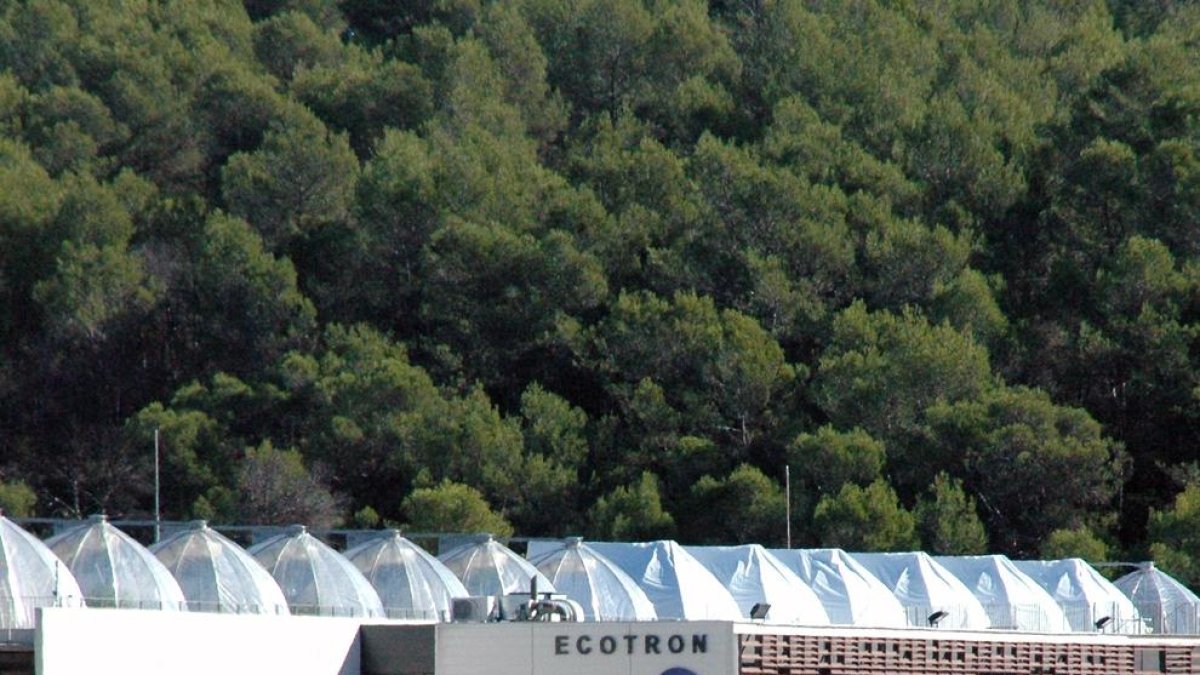 L’Ecotron Européen de Montpeller, on s’han fet proves.