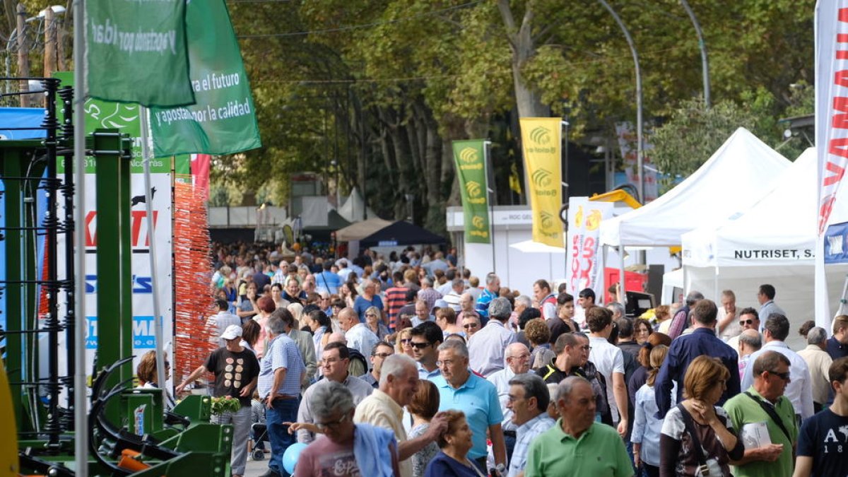 Aquest dijous obre portes la Fira de Sant Miquel més internacional