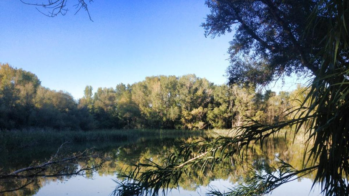 Foto realizada a la Mitjana