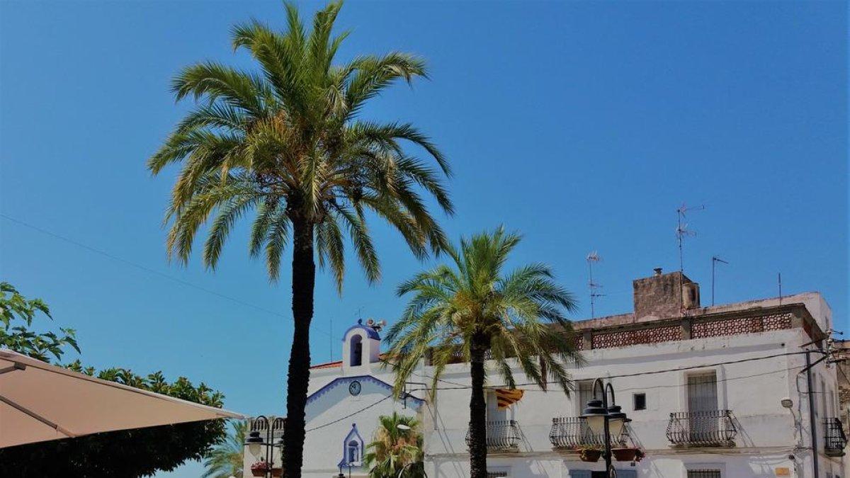Cap de setmana a la platja, al costat del poble d'Alcanar concretament a Les cases d'Alcanar on hi ha una gent de 