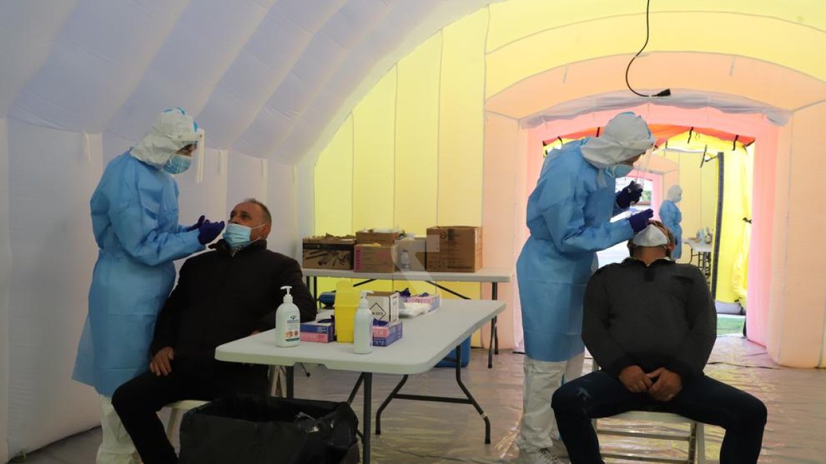 © La Mariola, 136 PCR de cribratge